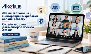 Онлайн-встреча для менторов проекта Akelius